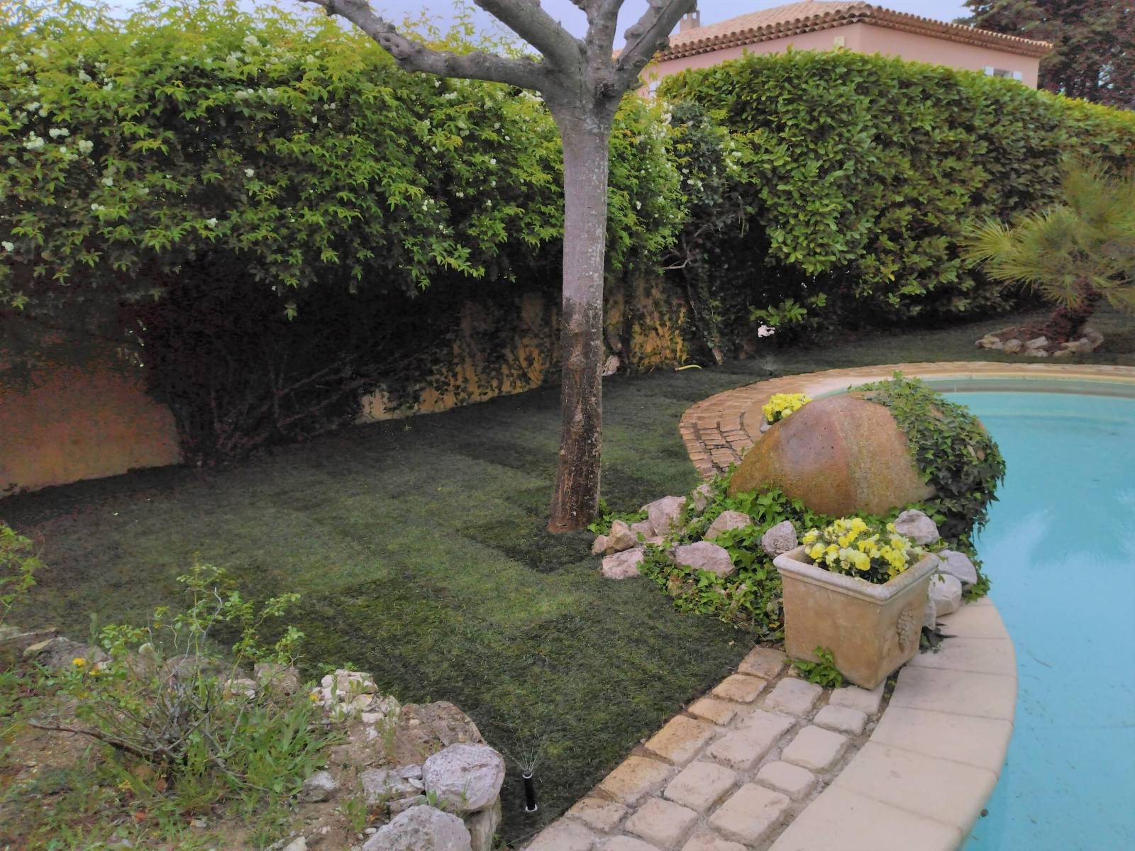 Remise en etat d arrosage integre pour une pelouse autour d une piscine Aix en Provence